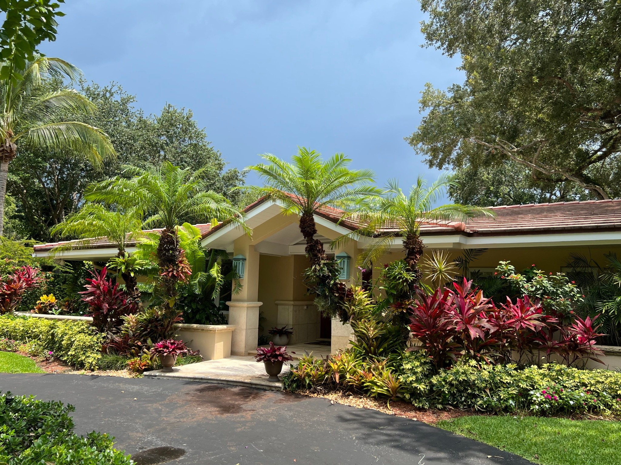 Finished tropical residential landscape in South Florida