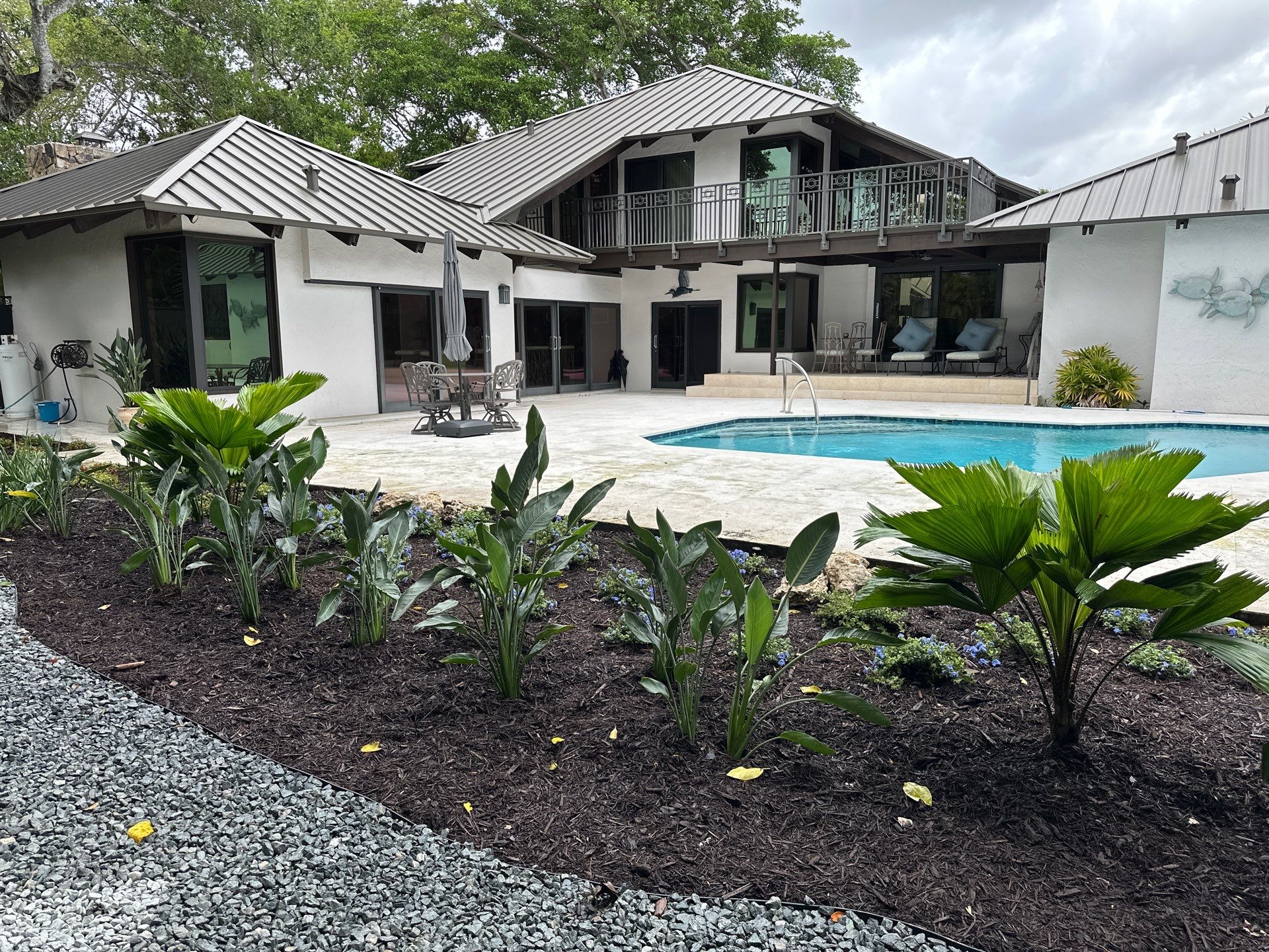 New tropical landscaping surrounding a residential pool