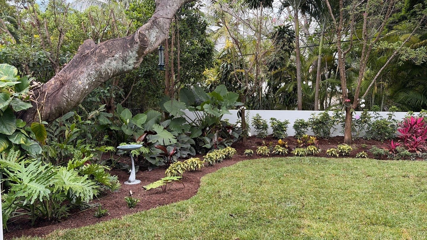 Fresh tropical garden planting surrounding a residential lawn