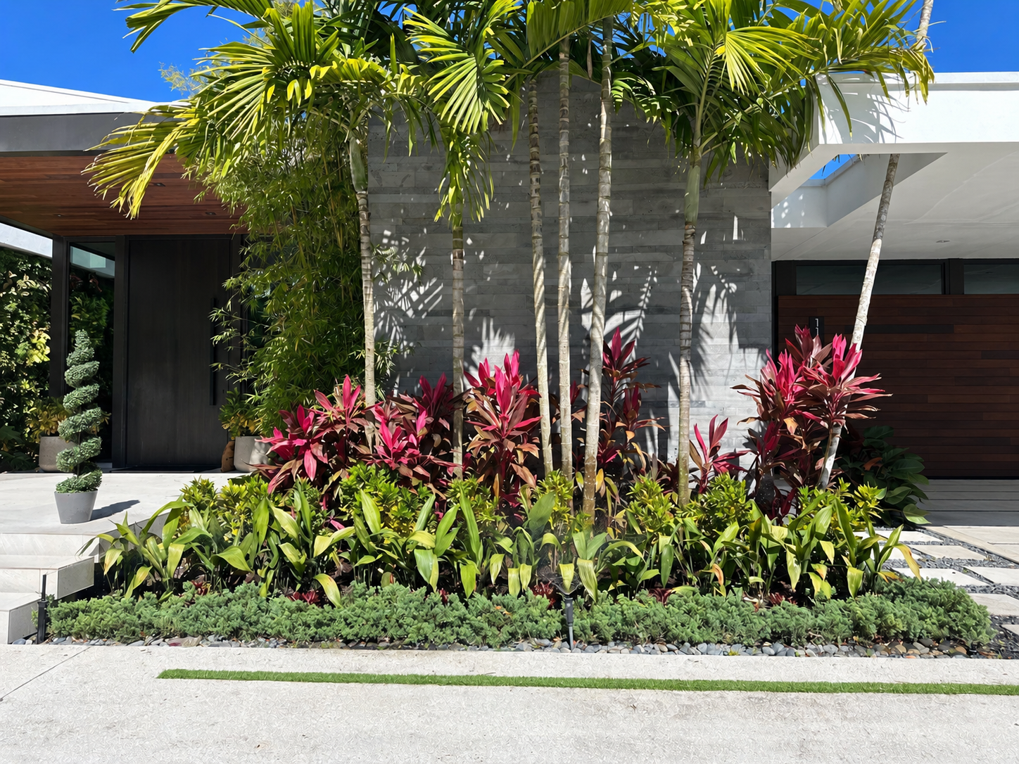 Modern home framed by palms and colorful tropical planting