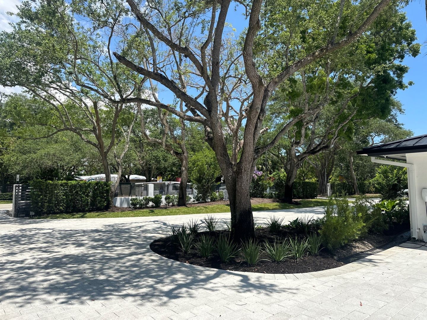 Tree Care & Arborist Services by Nature's Dream Landscape