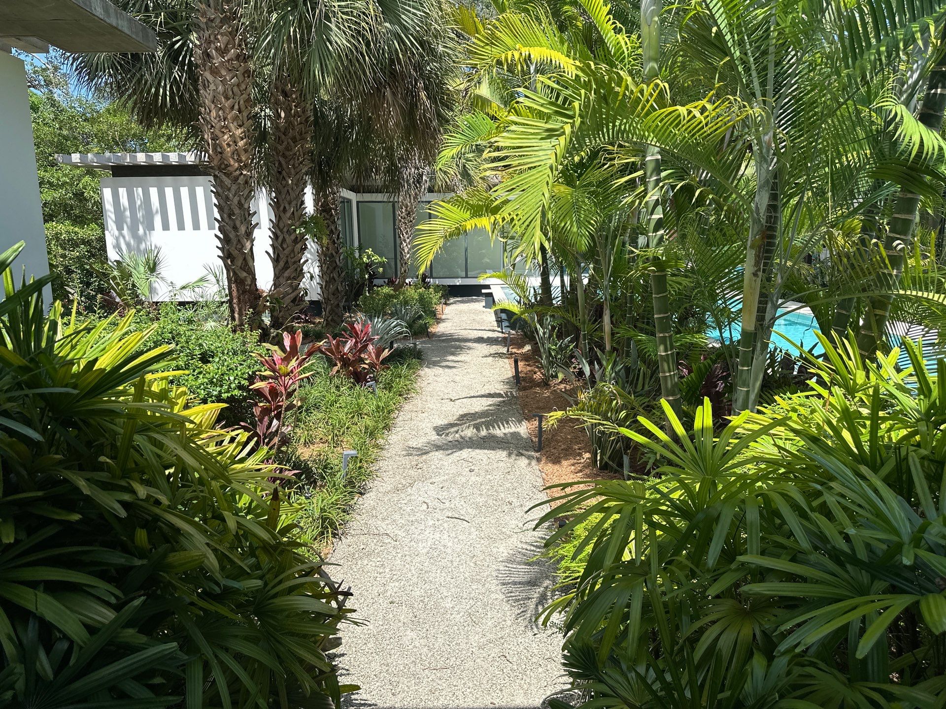 Lush tropical landscape installation surrounding a garden walkway at a South Florida home