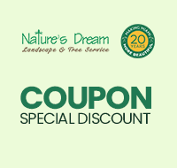 Coupon