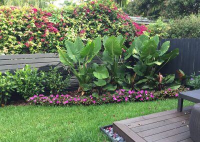 Tree-Removal-Coral-Gables-FL-400x284-1