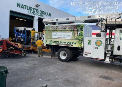 Tree-Services-Pinecrest-FL-400x284