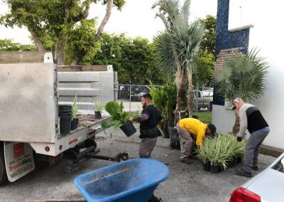 Tree-Services-South-Miami-FL-400x284