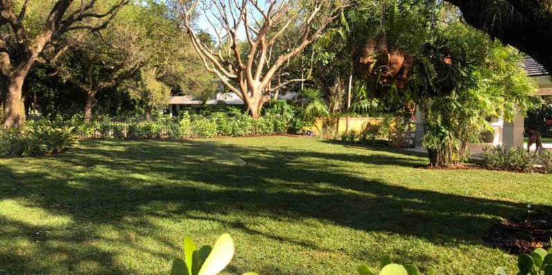can-you-put-sod-over-existing-grass