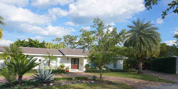 how-often-to-water-newly-planted-trees