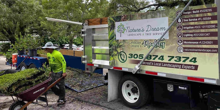 why-hire-an-arborist