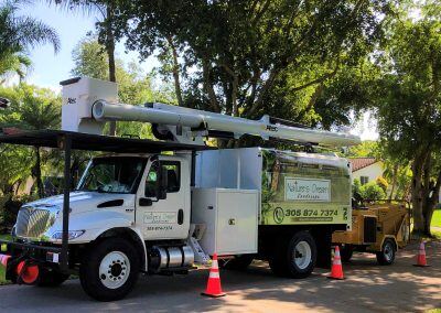 boom truck tree service